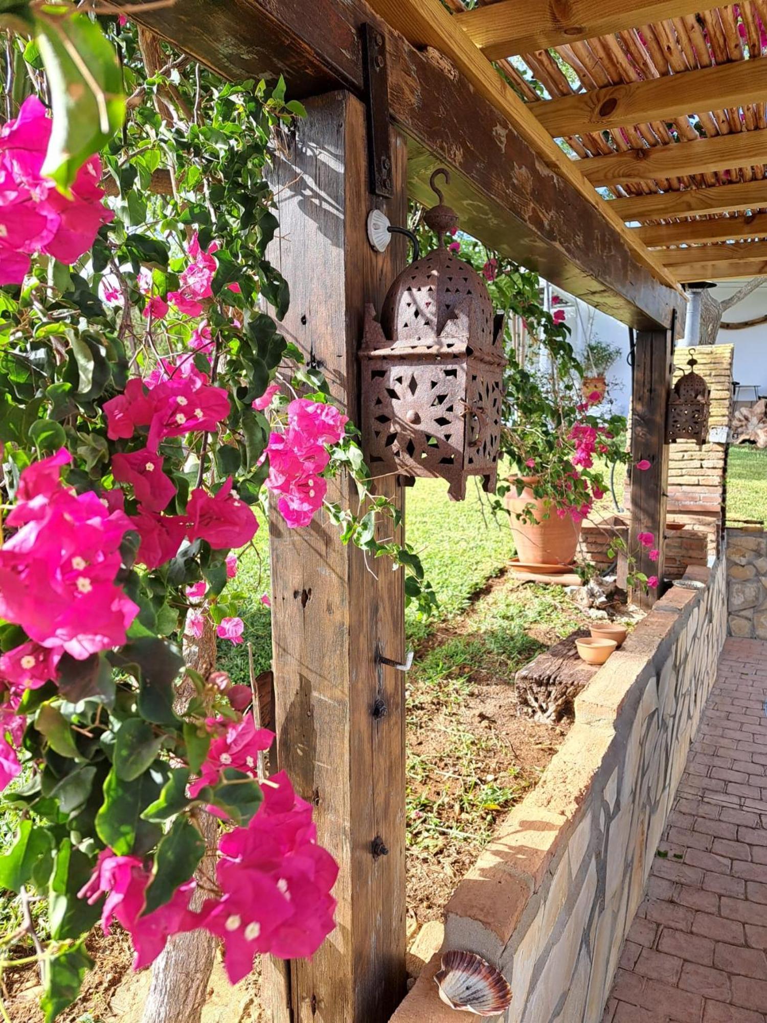 La Luciernaga Guest House Chiclana de la Frontera Bagian luar foto
