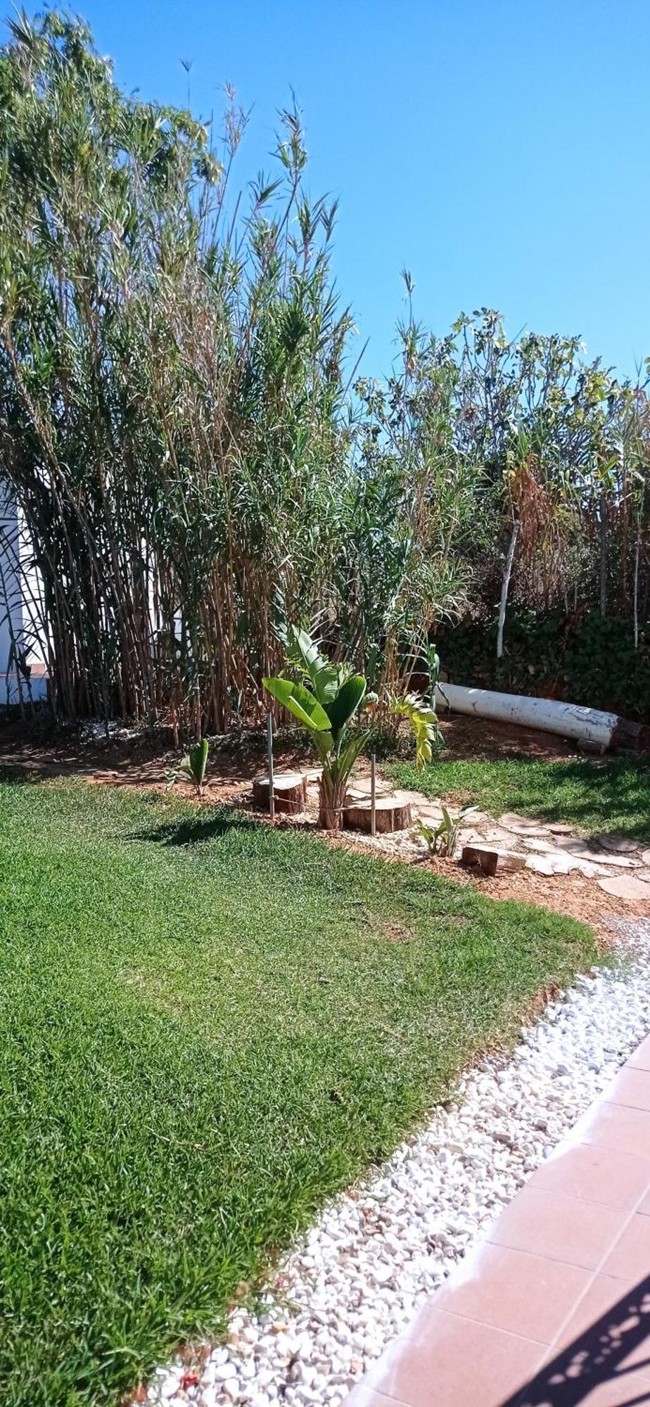 La Luciernaga Guest House Chiclana de la Frontera Bagian luar foto